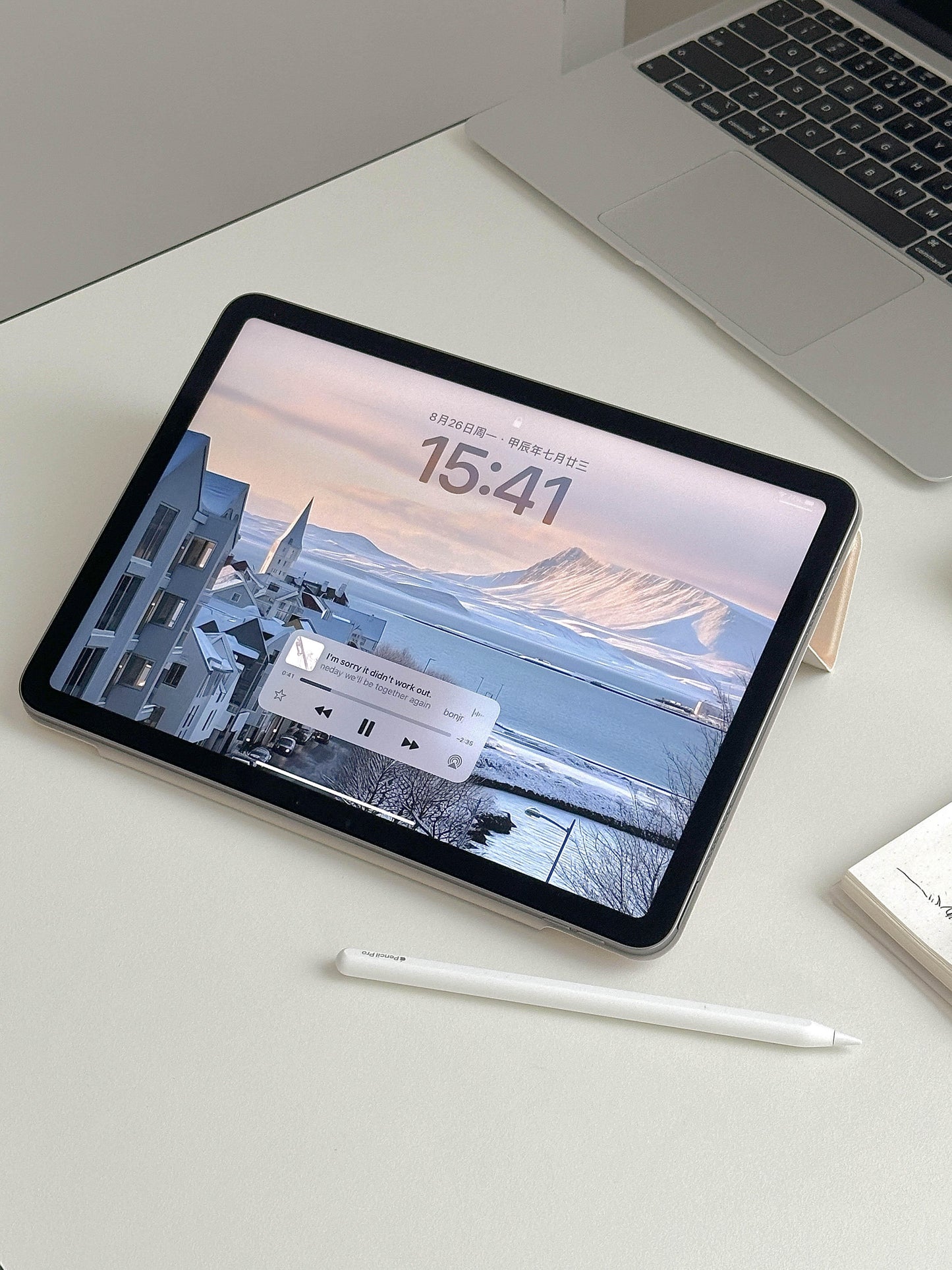 Doodle iPad Case