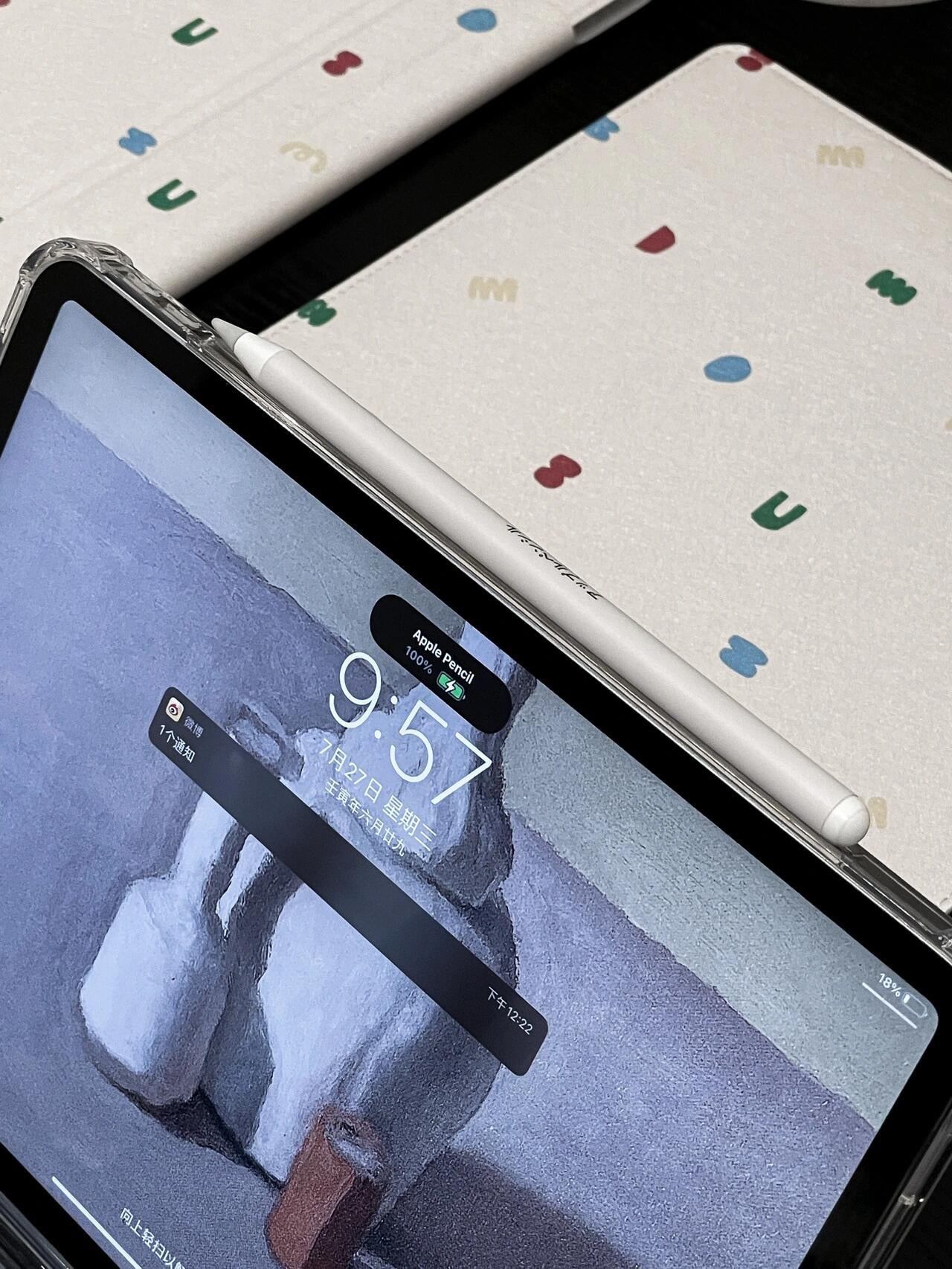 Doodle iPad Case