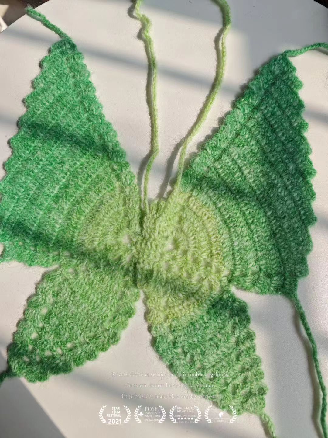 Handmade Crochet Ombre Butterfly Crop Top
