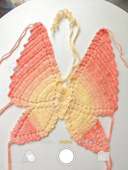 Handmade Crochet Ombre Butterfly Crop Top