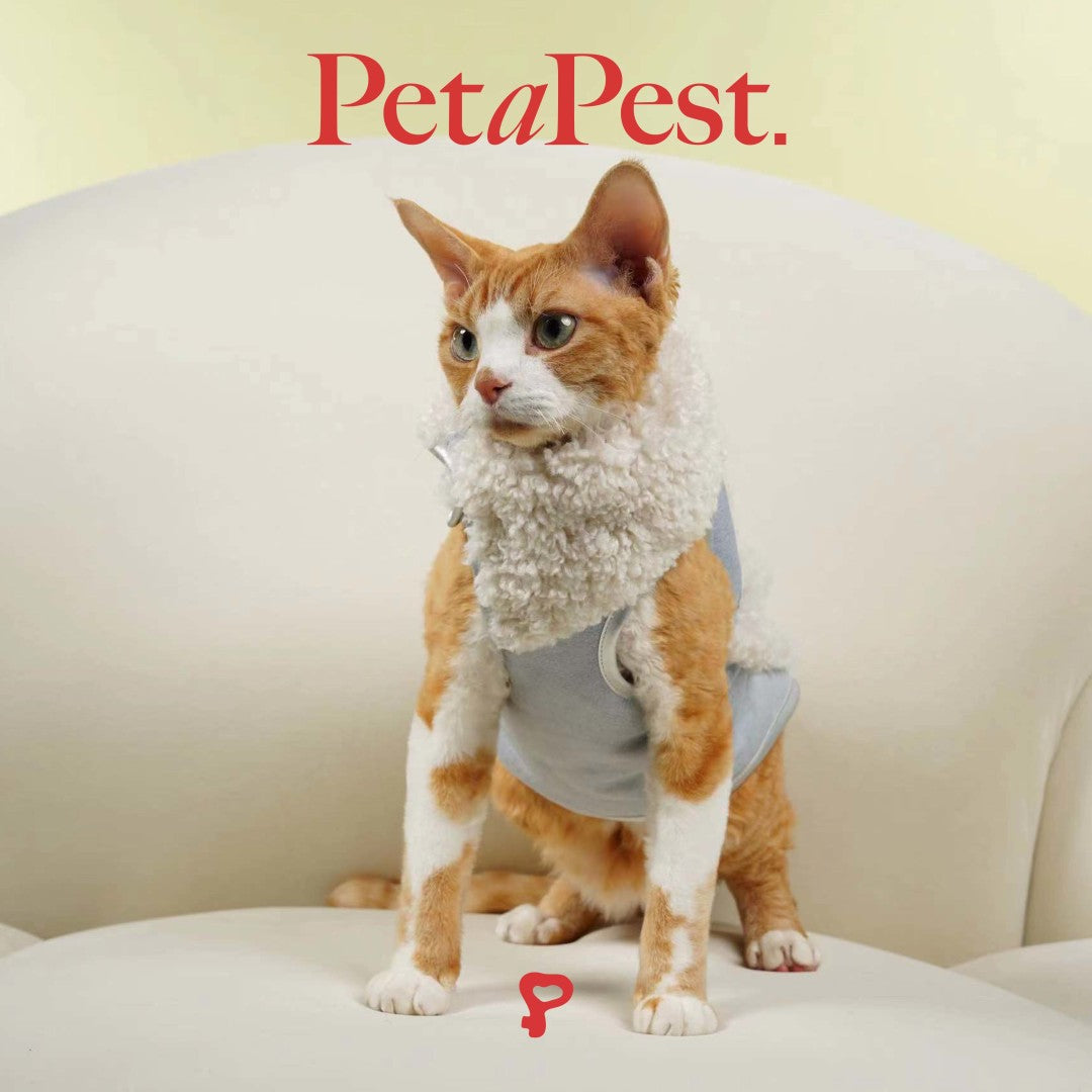 Blue Plush Cat Dog Vest