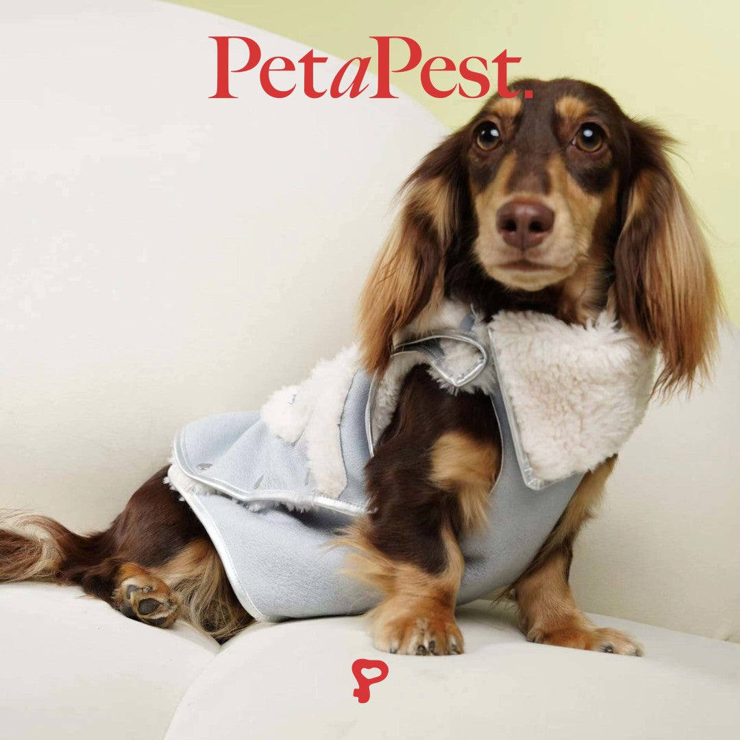 Blue Plush Cat Dog Vest