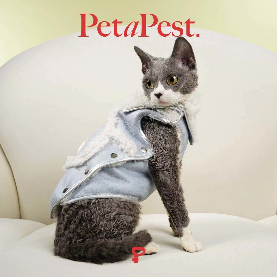 Blue Plush Cat Dog Vest