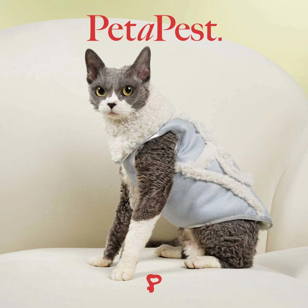 Blue Plush Cat Dog Vest