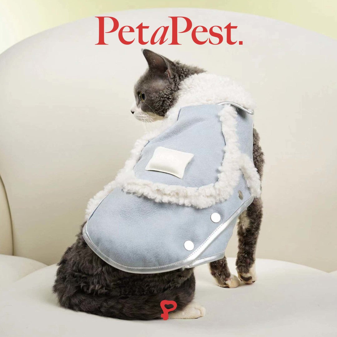 Blue Plush Cat Dog Vest