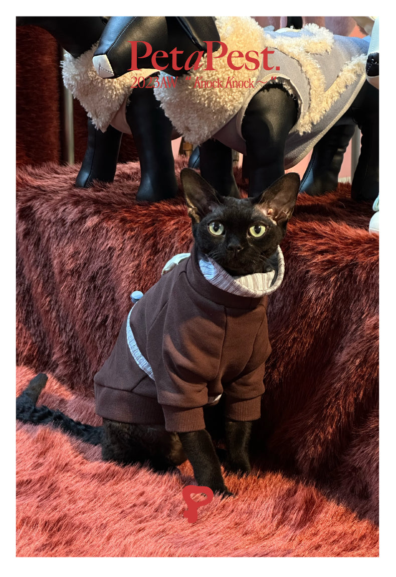Brown Blue Striped Double Collar Cat Dod Sweatshirt