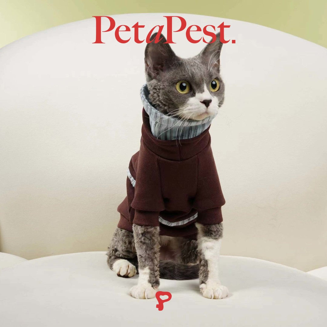 Brown Blue Striped Double Collar Cat Dod Sweatshirt