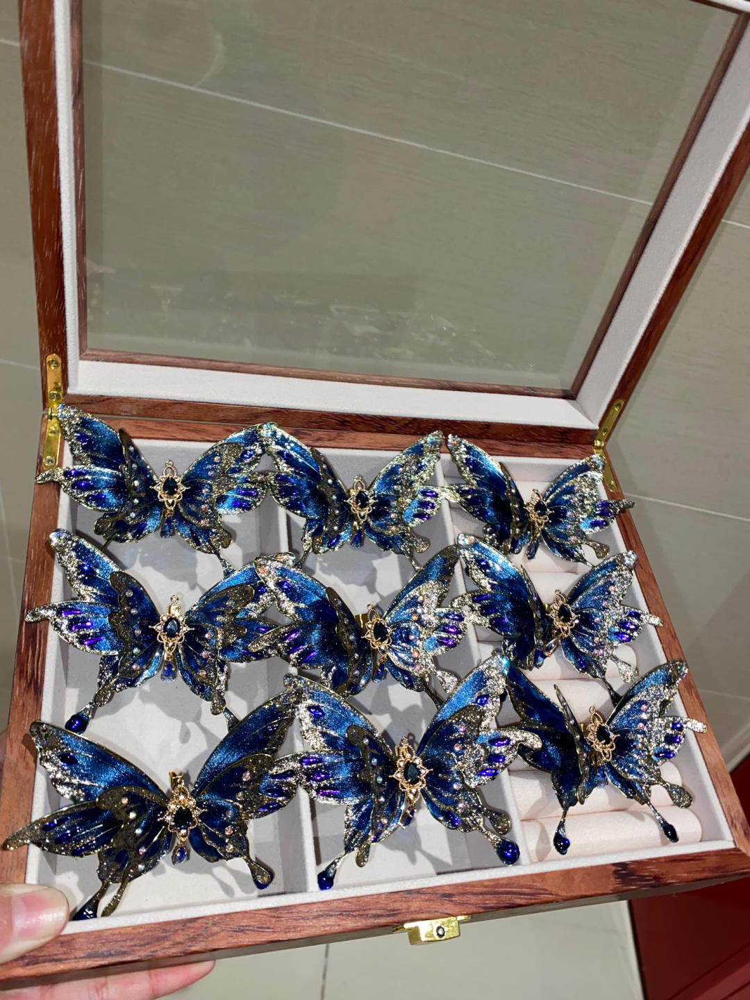 Butterfly Accessories 5.0