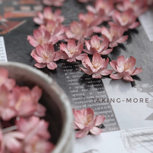Cowhide Sakura Flower Earrings