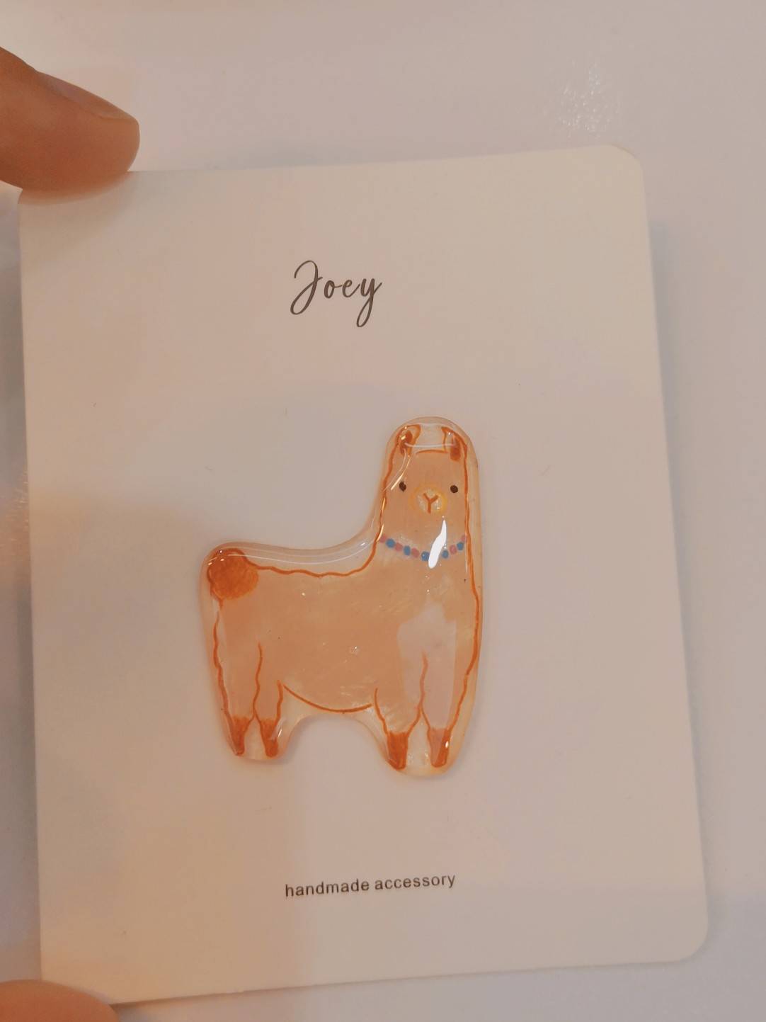 Cute Cartoon Shrink Plastic Brooch