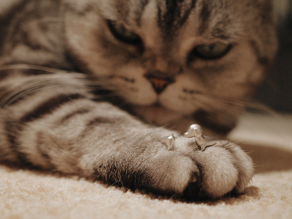 Cat Dog Couple Open-end Rings Set