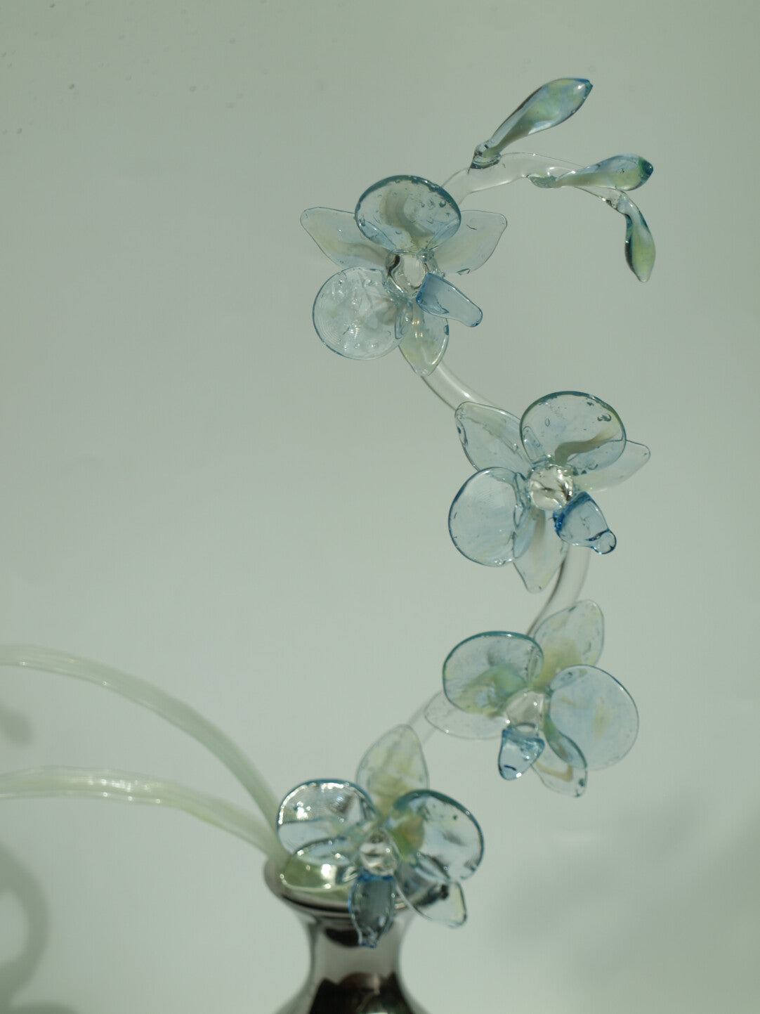 Dreamy Glass Phalaenopsis Orchid Flower