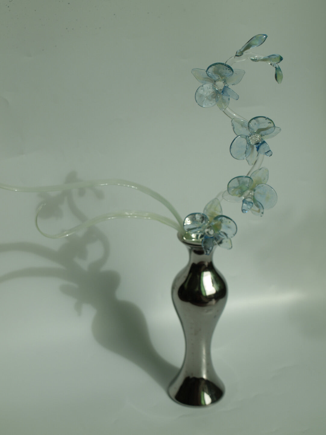 Dreamy Glass Phalaenopsis Orchid Flower