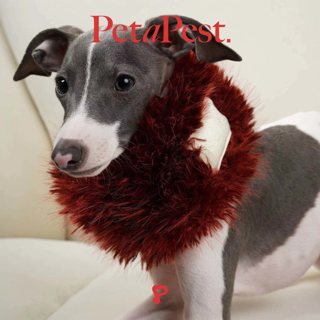 Fur Cat Dog Scarf