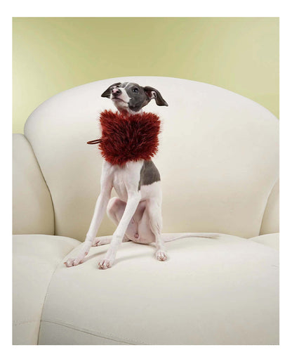 Fur Cat Dog Scarf
