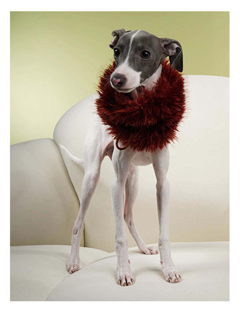 Fur Cat Dog Scarf