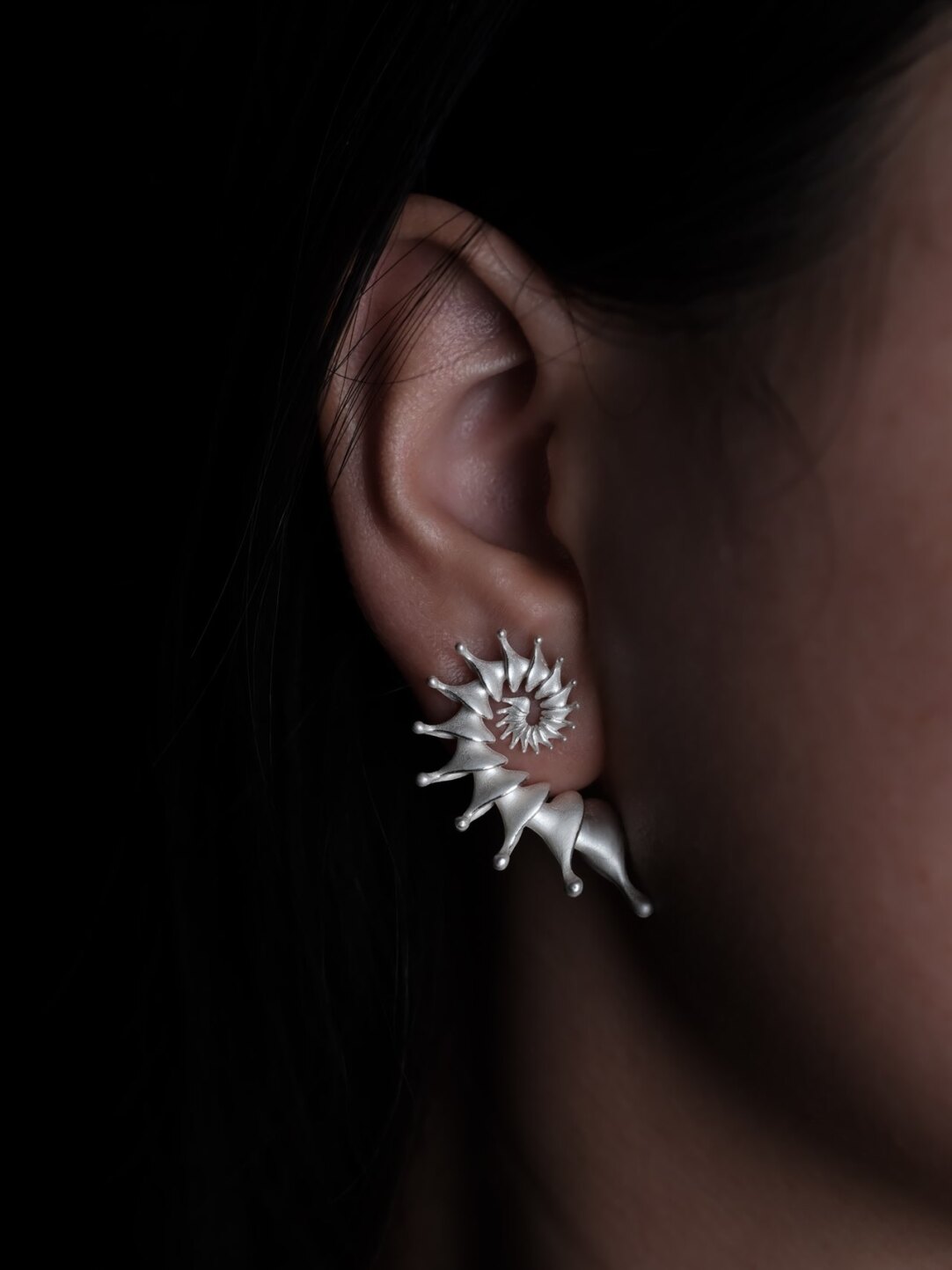 Hippocampus Silver Earrings