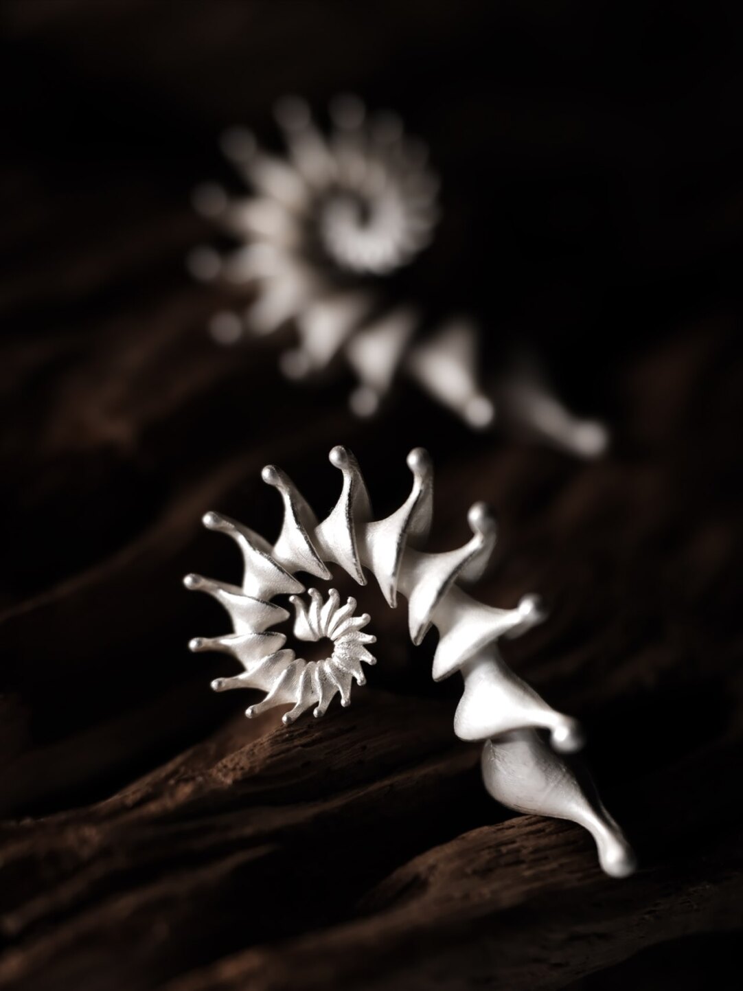 Hippocampus Silver Earrings