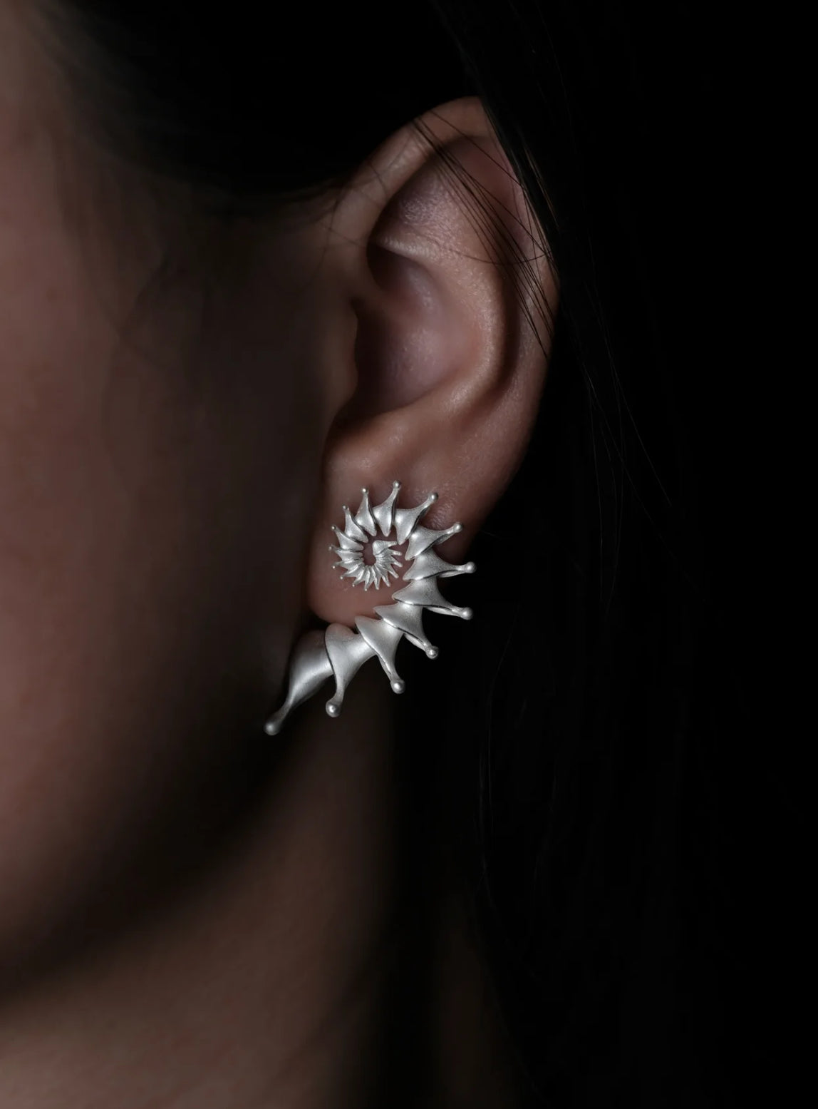 Hippocampus Silver Earrings