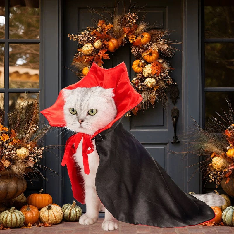 🎃 Trick-or-Treat Add-On