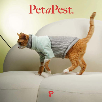 Knitted Cat Sweatshirt