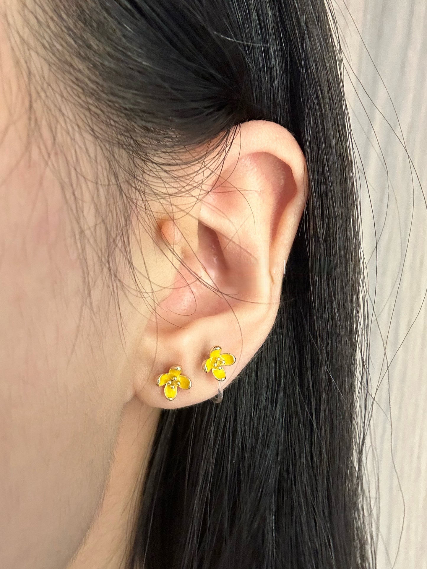 Osmanthus Flowers Studs