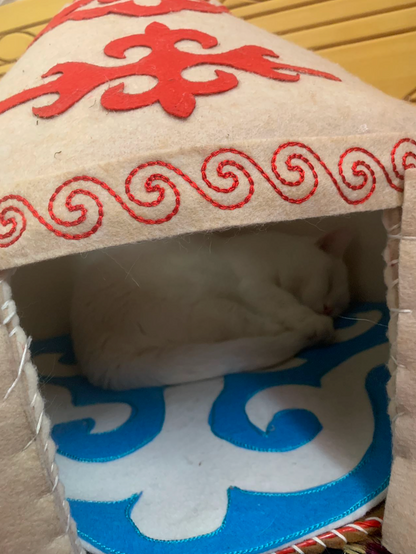 Pet Yurt