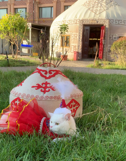Pet Yurt