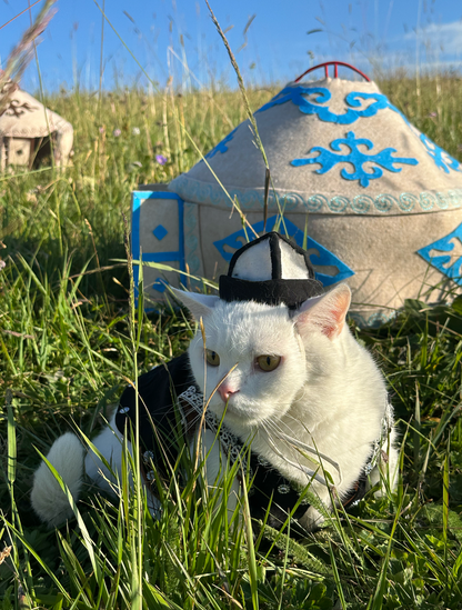 Pet Yurt