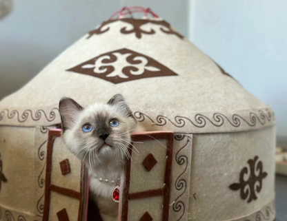 Pet Yurt