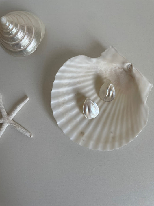Simple Shell Earrings