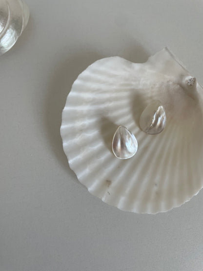 Simple Shell Earrings