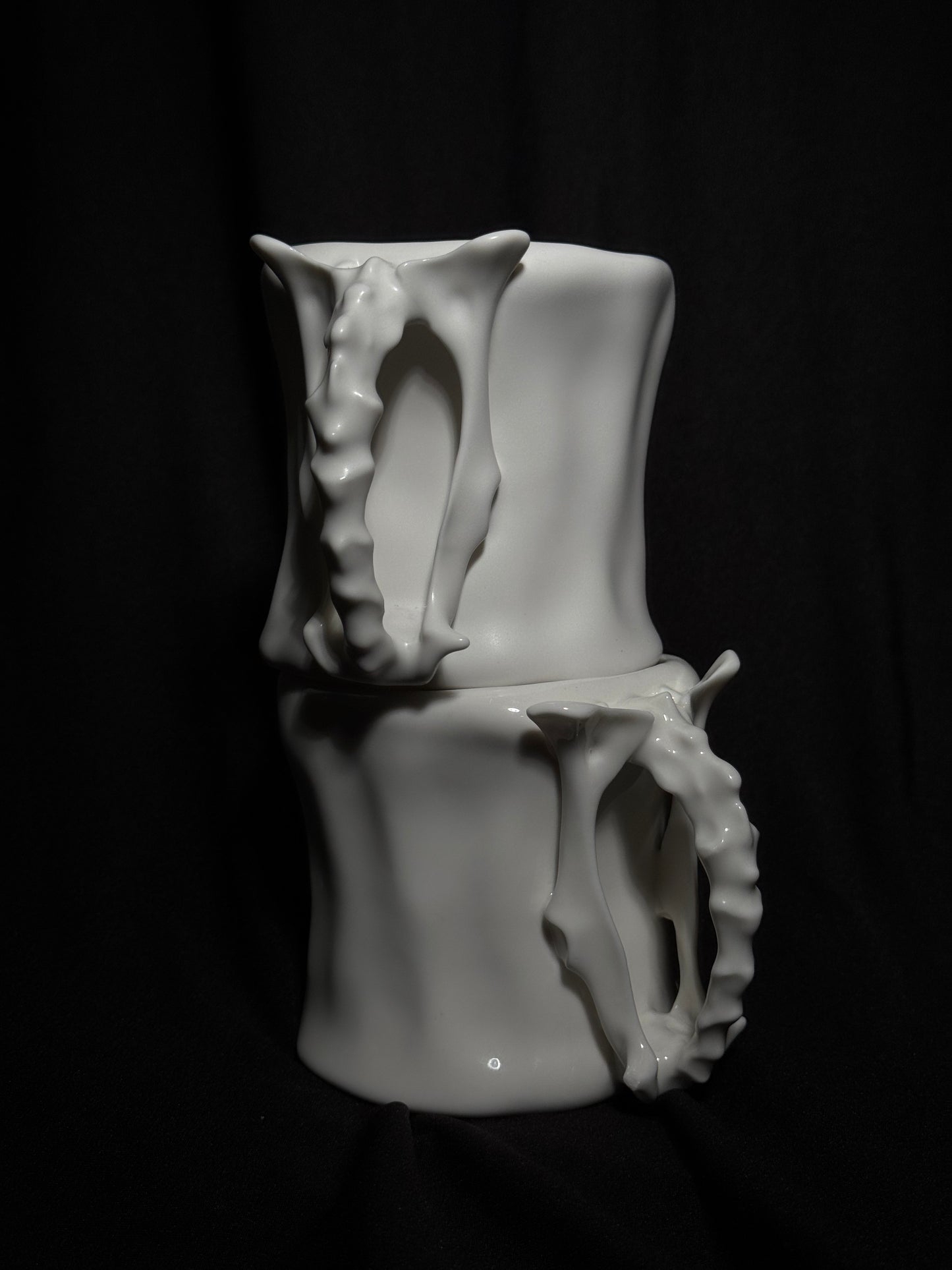 Skeletal Hip Bone Ceramic Cup