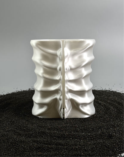 Spinal Tissue Box