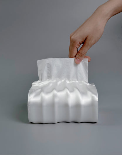 Spinal Tissue Box