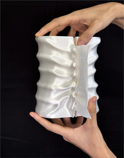 Spinal Tissue Box