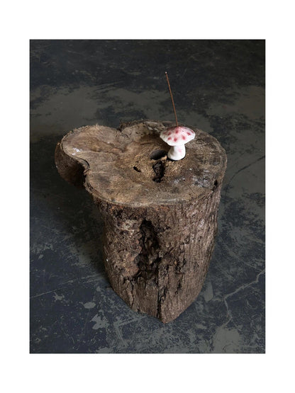 Surreal Mushroom Incense Holder | Plate/Vases Set | Three Fleas