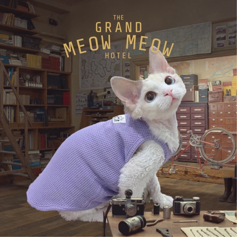 Waffle Fabric Devon Rex Sphynx Cat Clothing