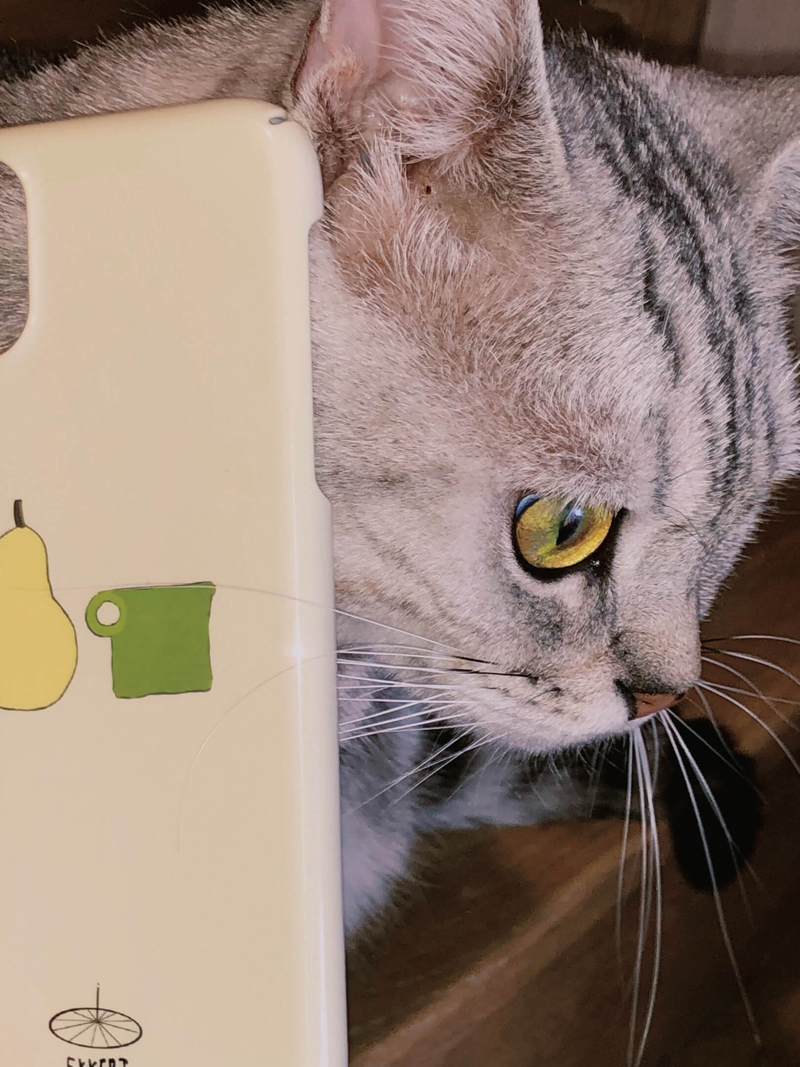 🍐A thinking pearphone accessories - Three Fleas