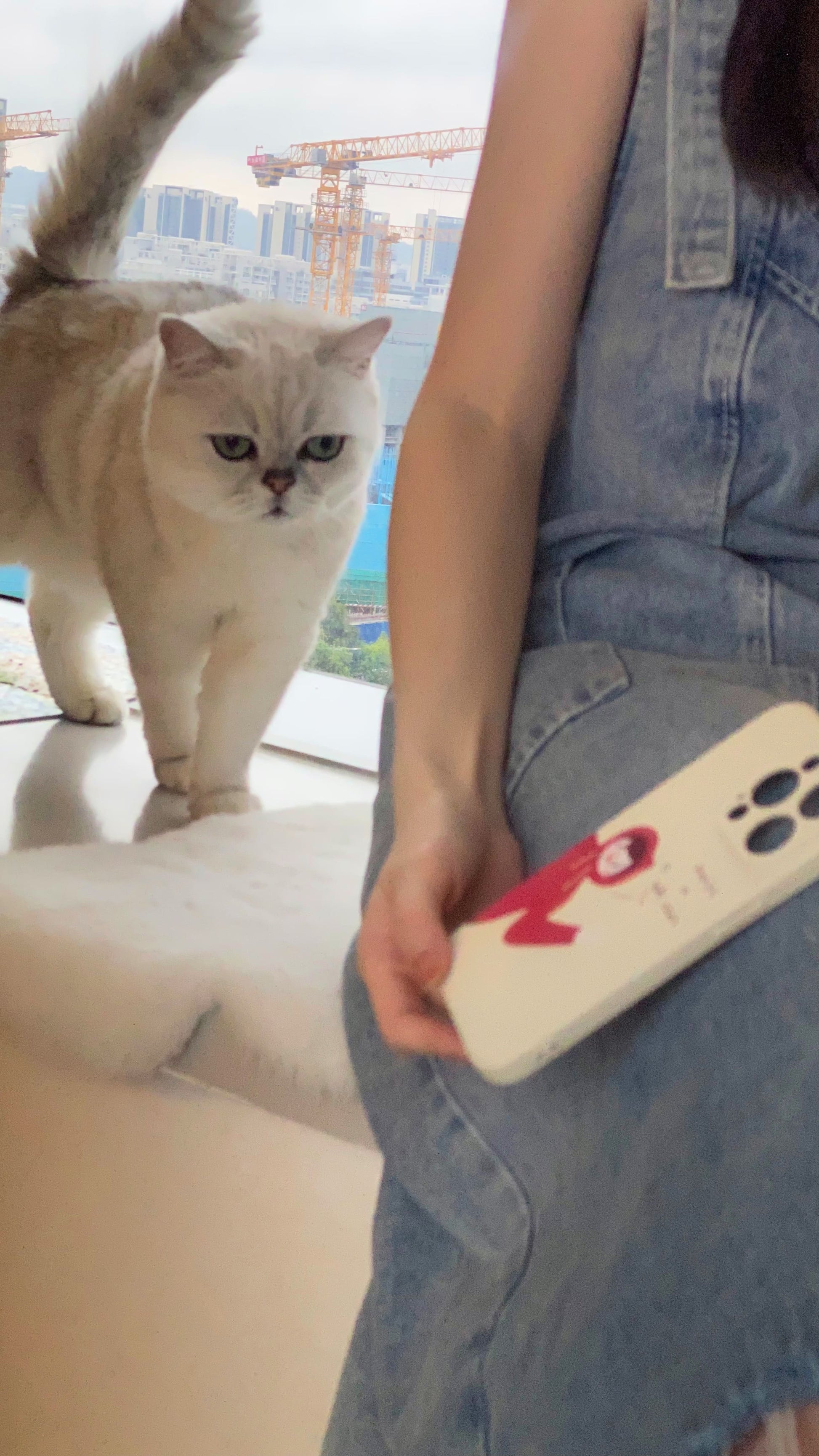 Have a nice dayphone accessories - Three Fleas