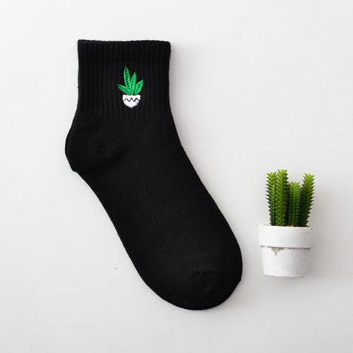 Socks represents attitude - Three Fleas